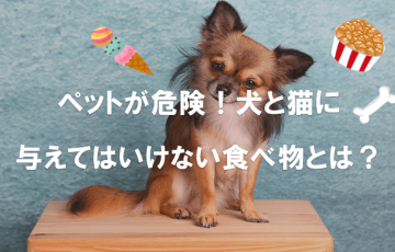 ペットが危険！犬と猫に与えてはいけない食べ物とは？