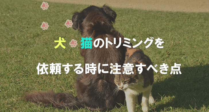 死亡事故多発 犬と猫のトリミングについて