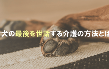 愛犬の最後を世話する介護の方法とは？