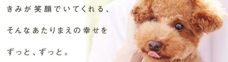 アニコムの詳細