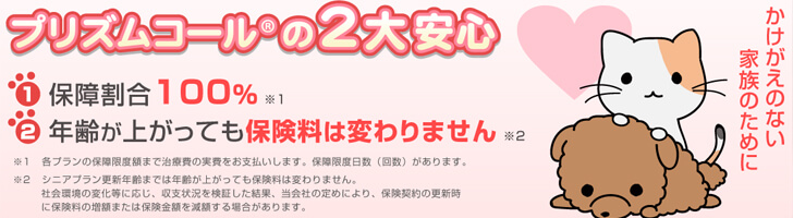プリズムコールの詳細