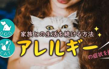 犬・猫アレルギーの画像